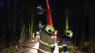 brandweer-storm-donker-takken