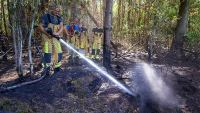 brand, droogte, storm, weer, kosten, omhoog