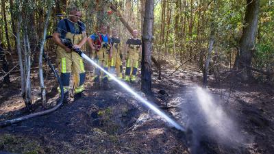 Opnieuw brand in bossen nabij Oude Sonsedijk in Best