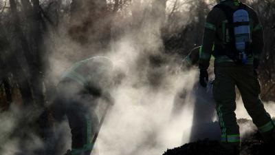 Broei in stapel houtsnippers