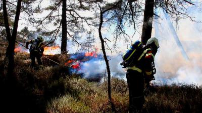 Natuurbranden Oost-Brabant en Terschelling door extreme droogte