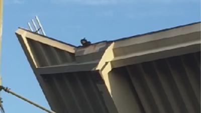 OM vervolgt brugwachter Zaandam voor dood door schuld