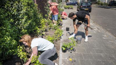 Buren onderhouden groen