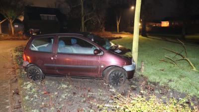 Auto tegen boom