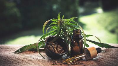 cannabis-hennep-olie