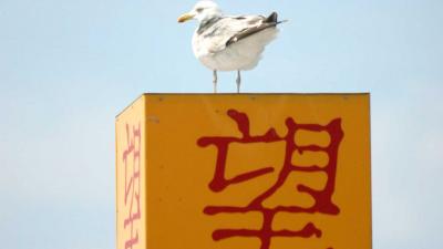 foto van Chinese restaurants | fbf