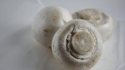 Foto van champignons