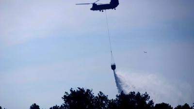 chinook-heli-blus-bos