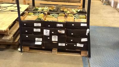 foto van cocaïne | fbf