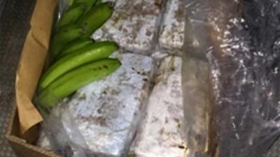 250 kilo cocaïne onderschept op oudejaarsdag