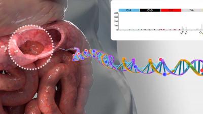 darmen-bacterie-dna