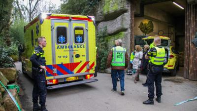 Kind (12) valt in 6 meter diepe put in Rotterdamse dierentuin