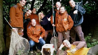 Ontsnapte kleine rode panda Diergaarde Blijdorp weer terecht