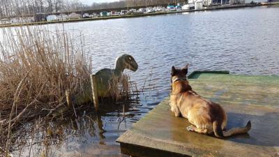 Vondst dinosaurus Almelo blijkt 'opgeblazen' nepnieuws