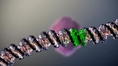 Aangehouden vrouw (31) ook moeder van in 2014 dood gevonden baby Alkmaar