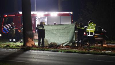 dode-aanrijding-boom