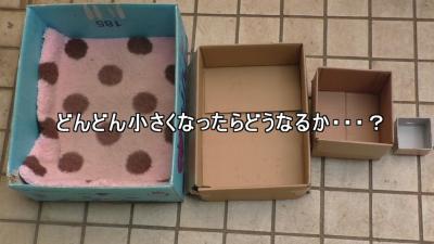 Neem je hond in de maling, maak zijn bed steeds kleiner