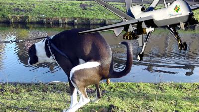 Gemeente Emmeloord gaat hondenpoep te lijf met drone 