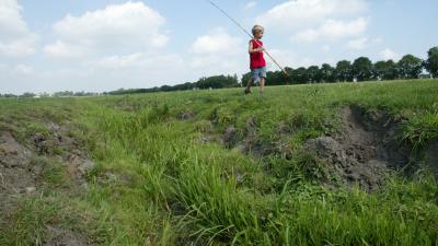 Droogte in gebied van waterschap Aa en Maas ondanks hoosbuien