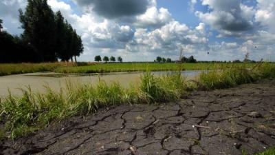Neerslag blijft uit, gevolgen van droogte zichtbaarder
