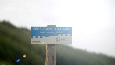 duingebied-natuur