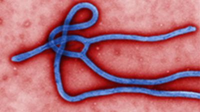 Twee mogelijk met ebola besmette artsen zondag naar Nederland
