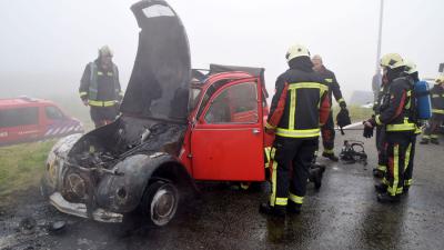 Eend in de brand op dierendag