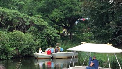 Drie gewonden door omgevallen boom in Efteling