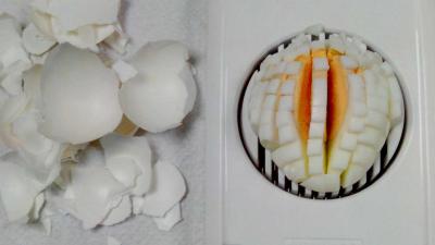 Winnie Sorgdrager leidt onderzoek crisis Fipronilbesmetting eieren 