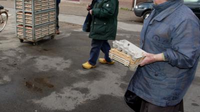 OM eist forse straffen voor fraude met eieren