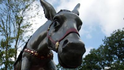 Geldezels in beeld in Opsporing Verzocht