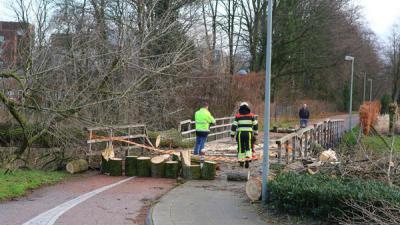 Omgewaaide boom vernielt fietsbrug in Boxtel