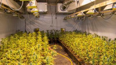 Kerkrade sluit sneller en langer wietfabrieken