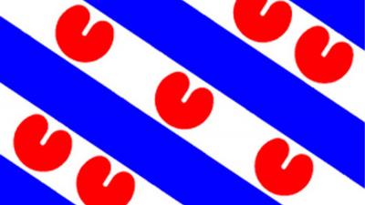 Foto van Friese vlag | BON