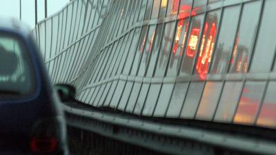 Behaarde planten langs weg moeten fijnstof gaan opvangen