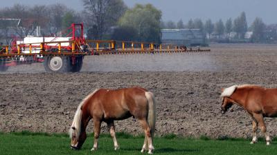 gif-spuit-paard-landbouw