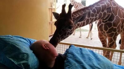 Foto van afscheidskus giraf terminale verzorger | st. Ambulance Wens