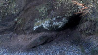 Politie stuit na tip op hennepkwekerij in Valkensburgse grotten