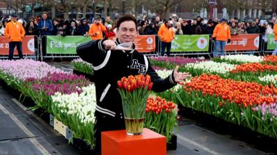 hardwell-tulpen-gedoopt