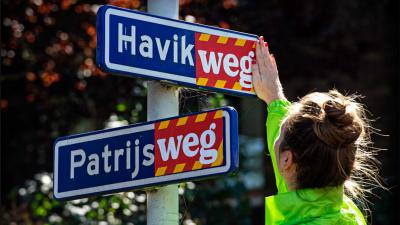havikweg-greenpeace