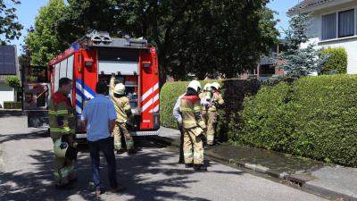 heg-brand
