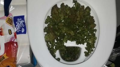 Doorgespoelde hennep &#039;geen drol&#039; meer waard