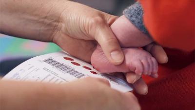 hielprik-stofwisseling