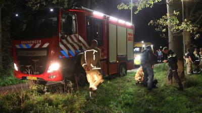 hond-brandweer