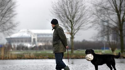 Foto van hond voetbal Arena Ajax | Archief EHF