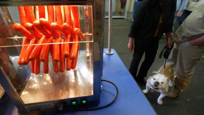 Gevaarlijke bacterie in rauw hondenvoer ontdekt