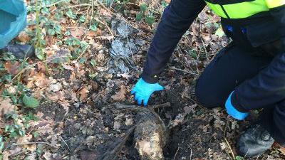Politie graaft dode hond op na tip