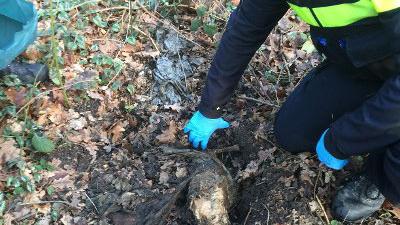 Politie graaft dode hond op na tip