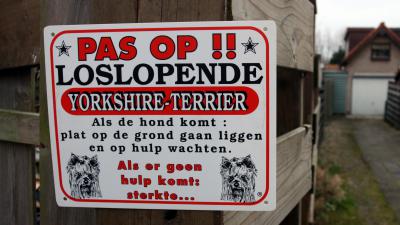 Dierenbescherming wil einde aan puppyhandel