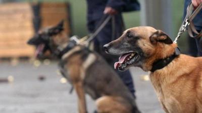 Politiehond helpt bij scheiden vechtende groepen